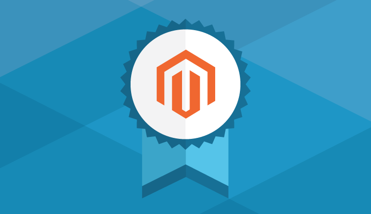 Pioneers of Magento’s Partner Audit